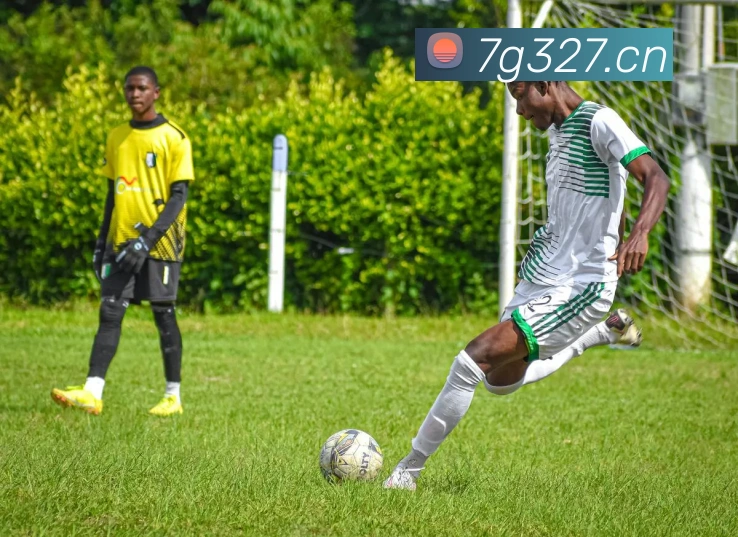 米兰体育在线登录网址服务体系